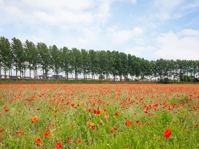 Nieuwlandseweg 176, Sint-Annaland