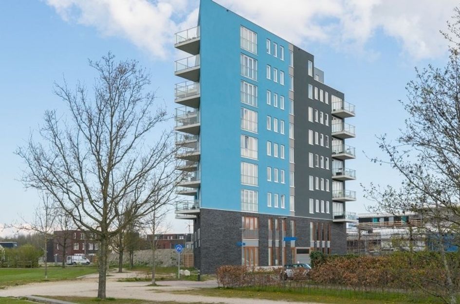 Pygmalionstraat 