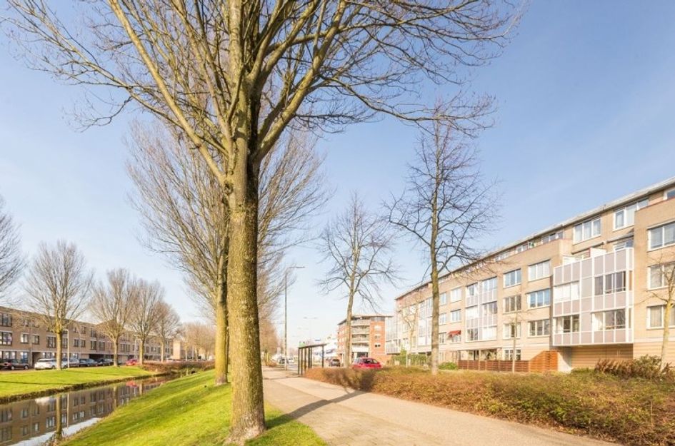 Brabantstraat 