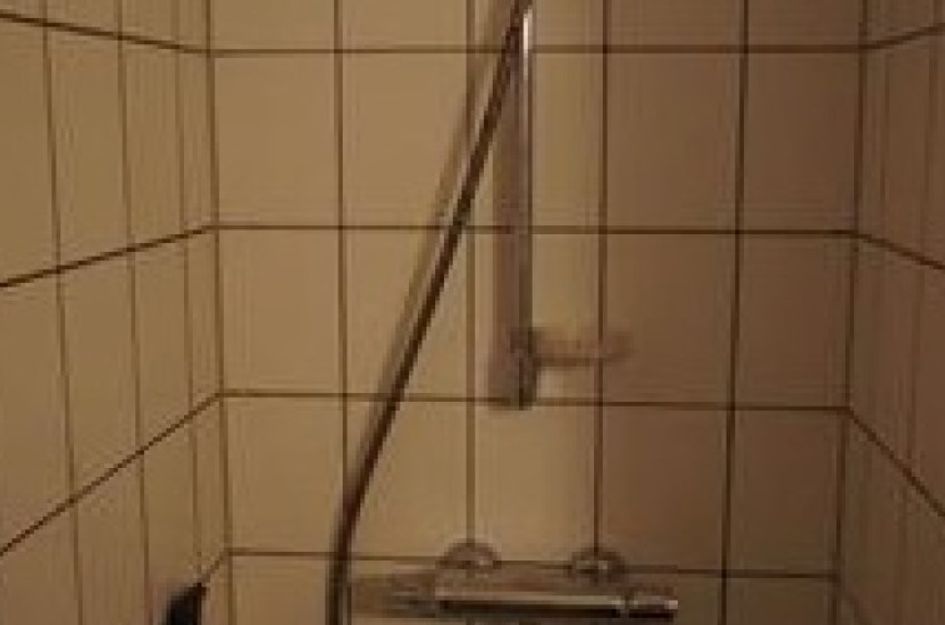 Wisseloord 