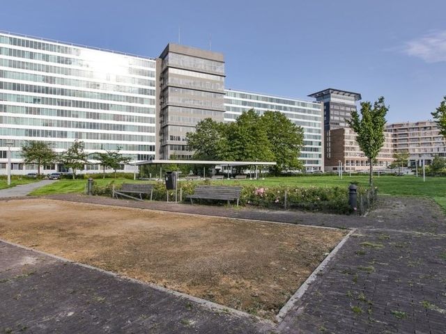 Bos en Lommerplantsoen , Amsterdam