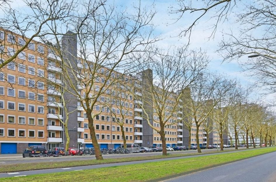 Van Nijenrodeweg 