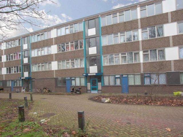Bramzeilhof , Amsterdam