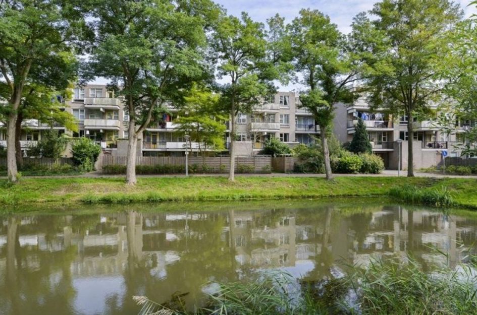 Wamelplein 