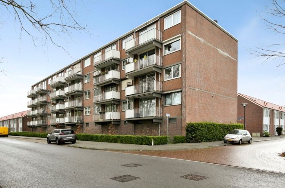 Rijnauwenstraat 