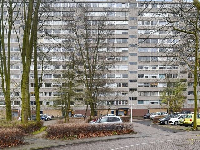 Aart van der Leeuwlaan , Delft