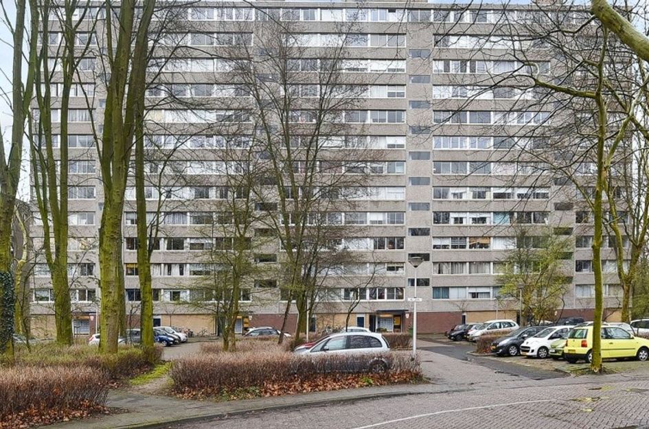 Aart van der Leeuwlaan 
