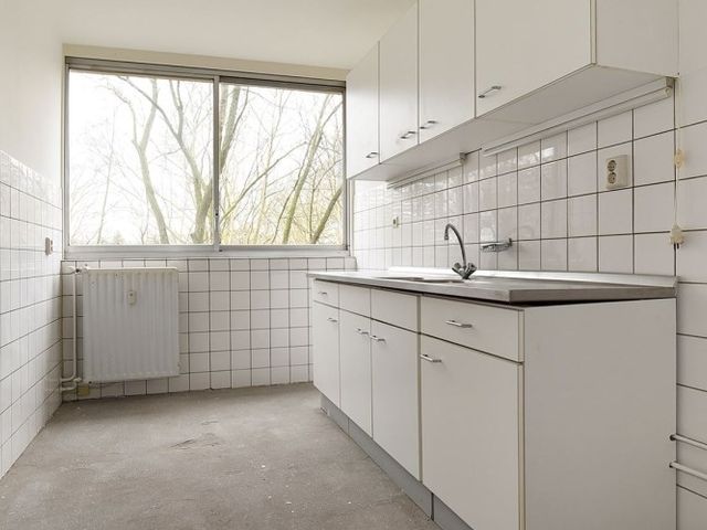 Aart van der Leeuwlaan , Delft