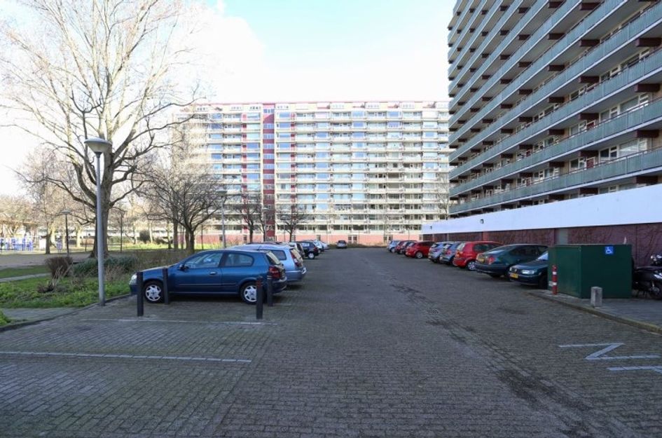 Nieuwendamlaan 