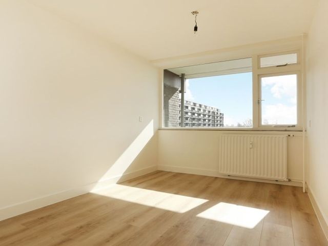 Nieuwendamlaan , Den Haag