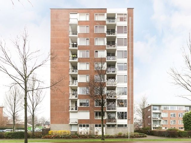 Pisanostraat , Eindhoven