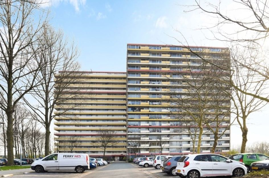 Oost Dorsch 