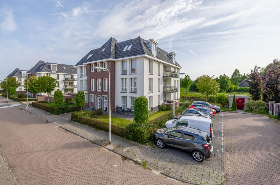 Noorderlicht 35