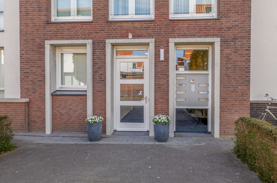 Noorderlicht 35