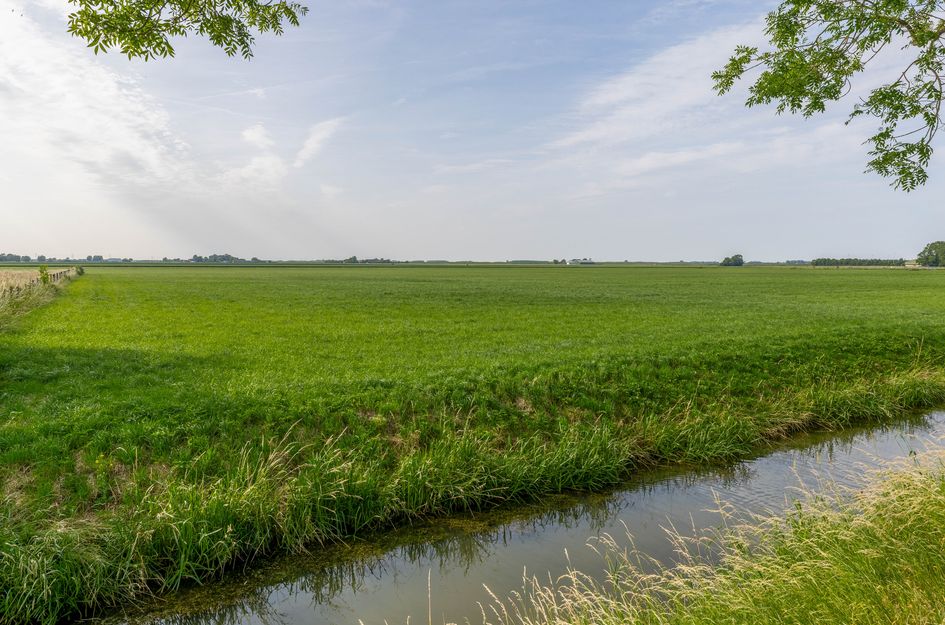 Noorderlicht 35