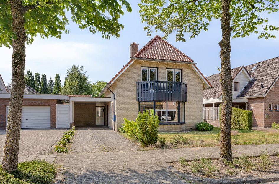De Wulp 1