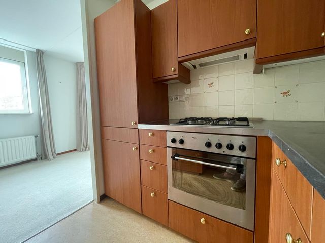Groot Hoogwaak 219, Noordwijk