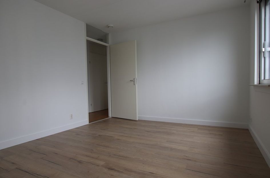 Versteegstraat 63