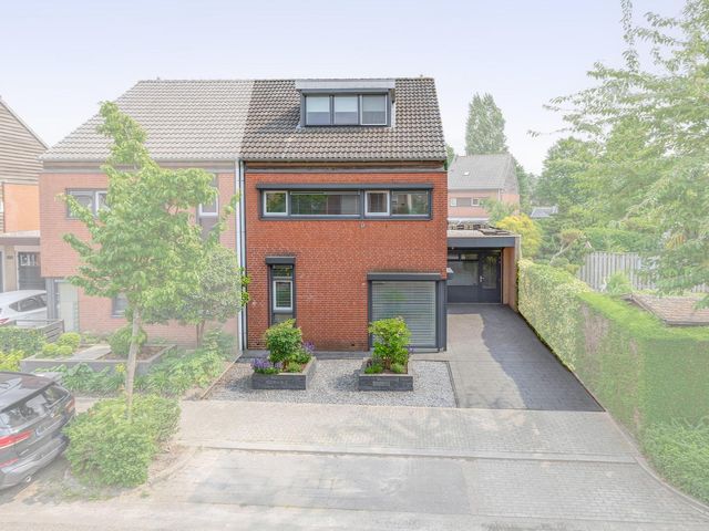 Saffier 16, Venlo