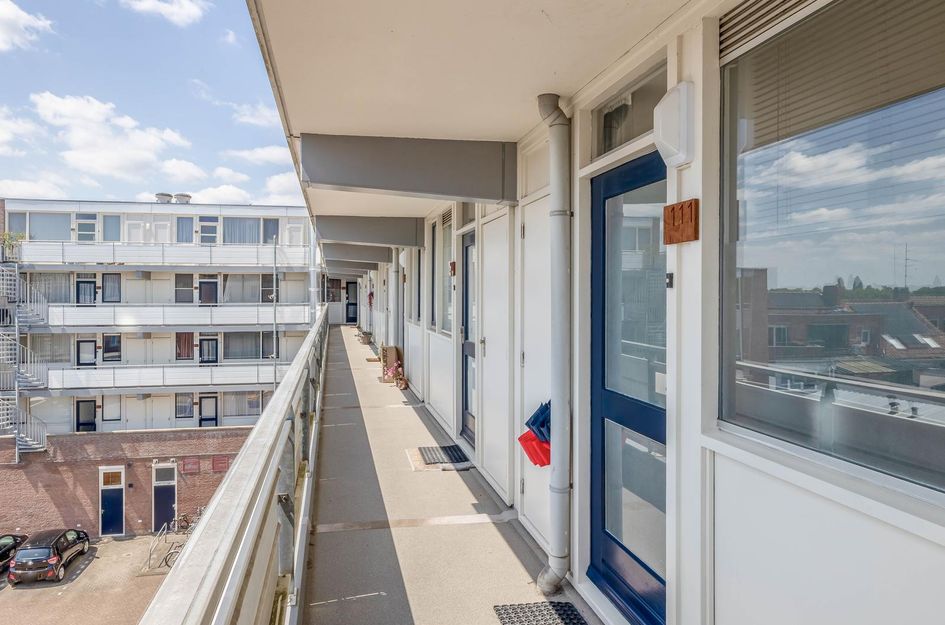 Puteanusstraat 111