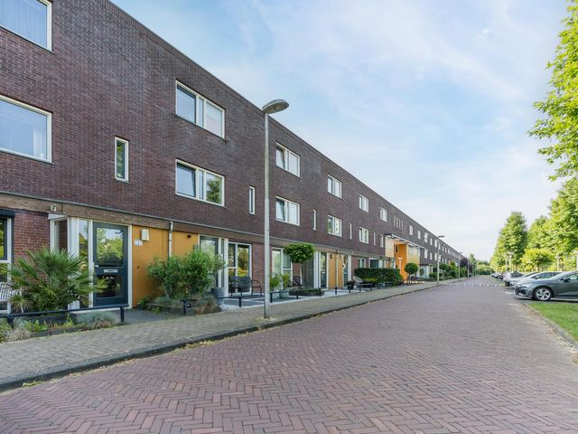 Citroenvlinder 102, Hoogeveen
