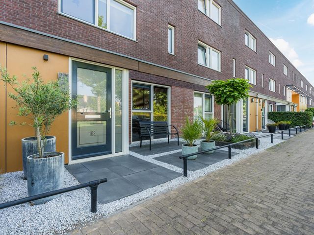 Citroenvlinder 102, Hoogeveen