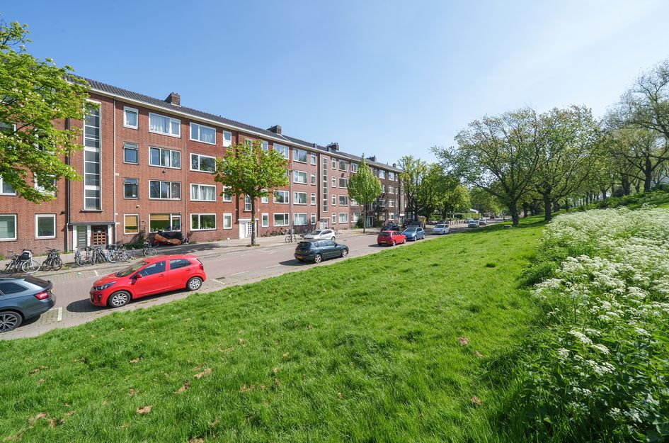 Schiedamseweg Beneden 475B