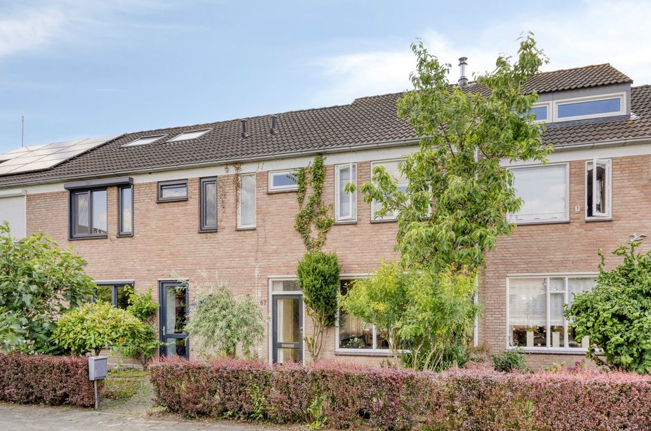 Albinonistraat 67