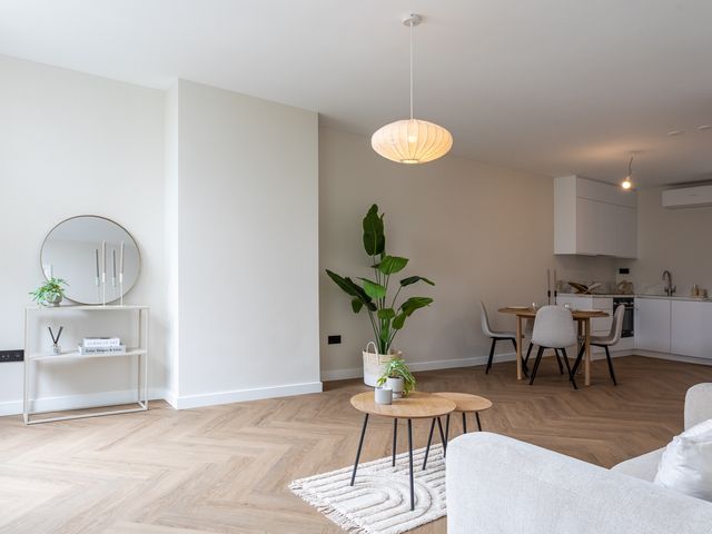 Witte de Withstraat 18B, Den Haag