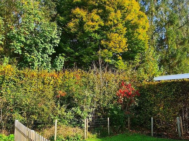 Krachtighuizerweg 28a6, Putten