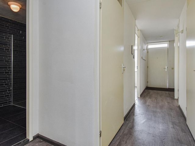 Troelstrakade 37, 'S-Gravenhage