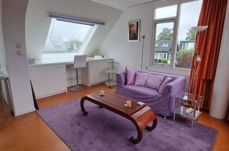 Roerdompstraat 60
