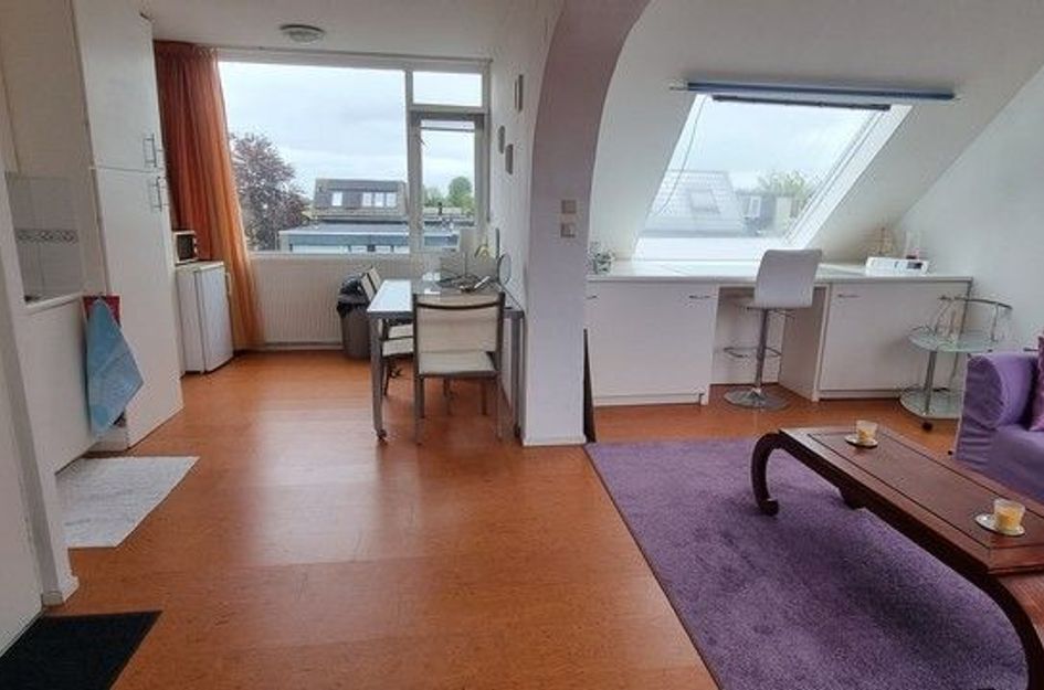 Roerdompstraat 60