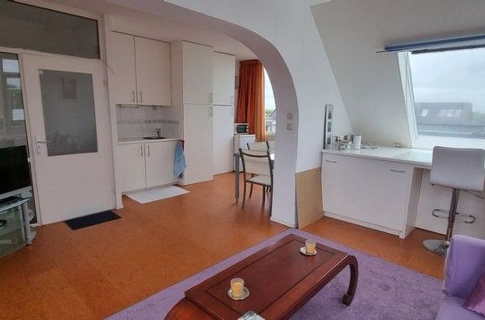 Roerdompstraat 60