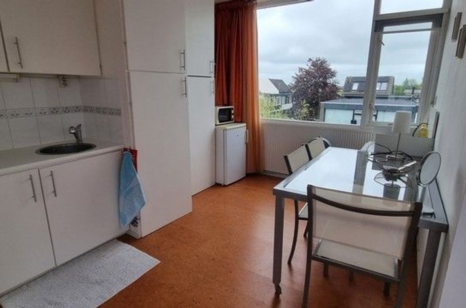 Roerdompstraat 60