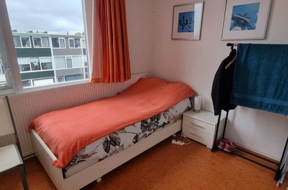 Roerdompstraat 60