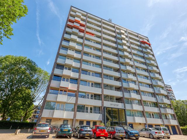 Roggekamp 289, Den Haag