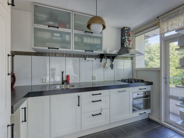 Roggekamp 289, Den Haag