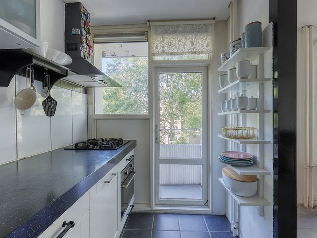Roggekamp 289, Den Haag
