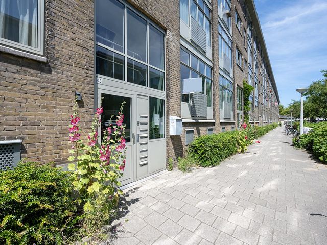 Louise de Colignystraat 40 2, Amsterdam