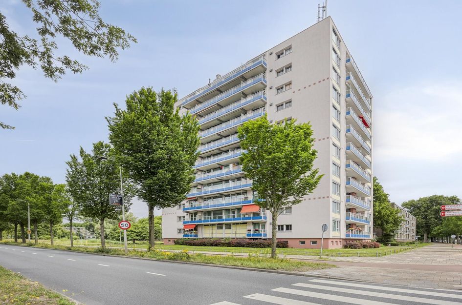 Schoutendreef 381