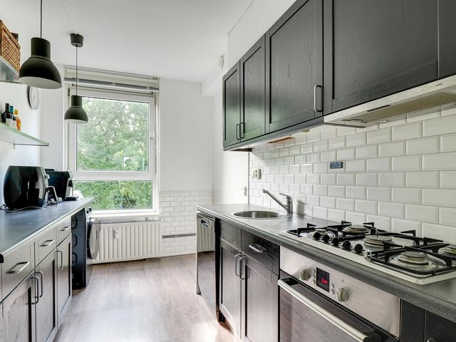 van Herwijnenplantsoen 238, Nieuwegein