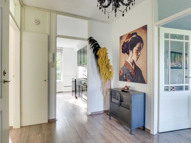 van Herwijnenplantsoen 238, Nieuwegein