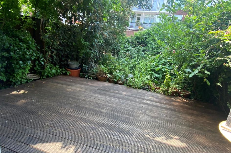 Willem Pijperstraat 58