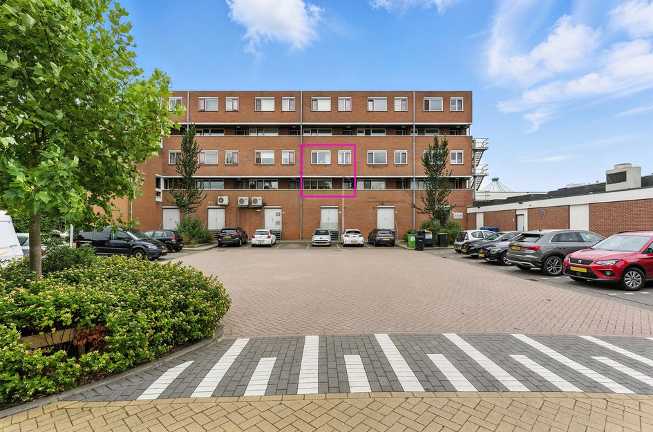 Nedersassen 8