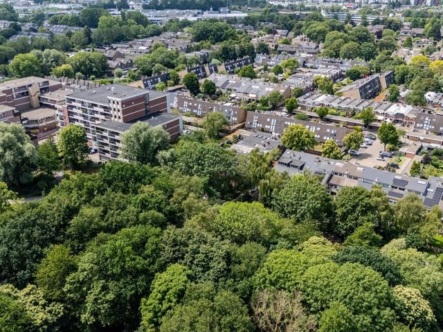 Platschelpenbank 2, Leiden