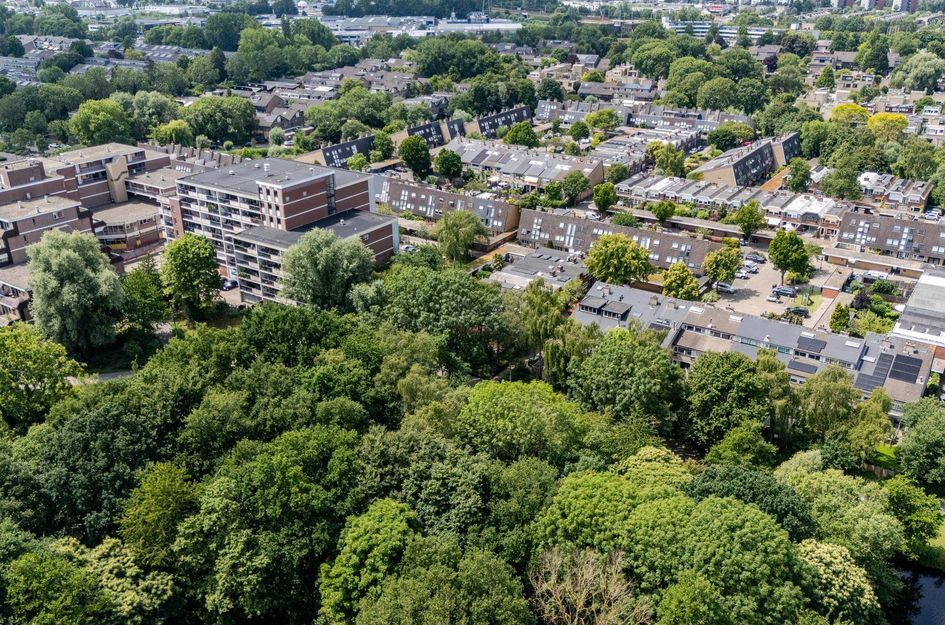 Platschelpenbank 2