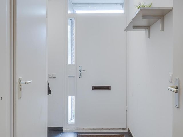 Platschelpenbank 2, Leiden