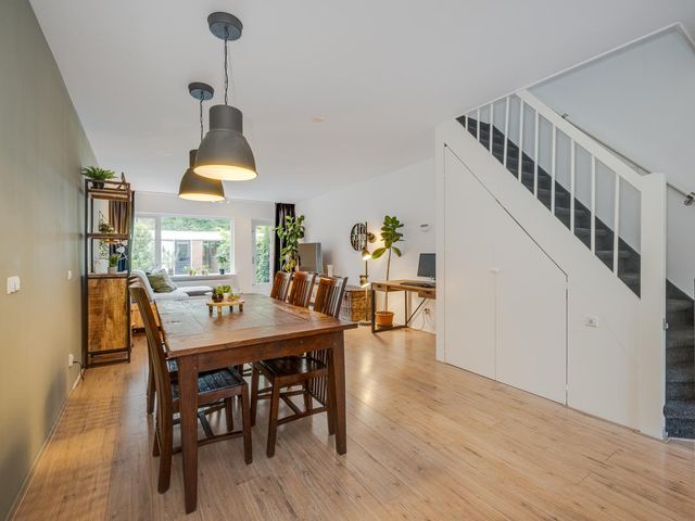 Platschelpenbank 2, Leiden