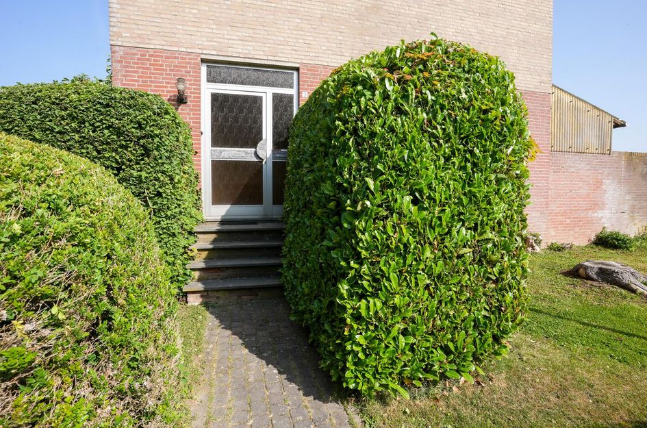 van Thimusstraat 3